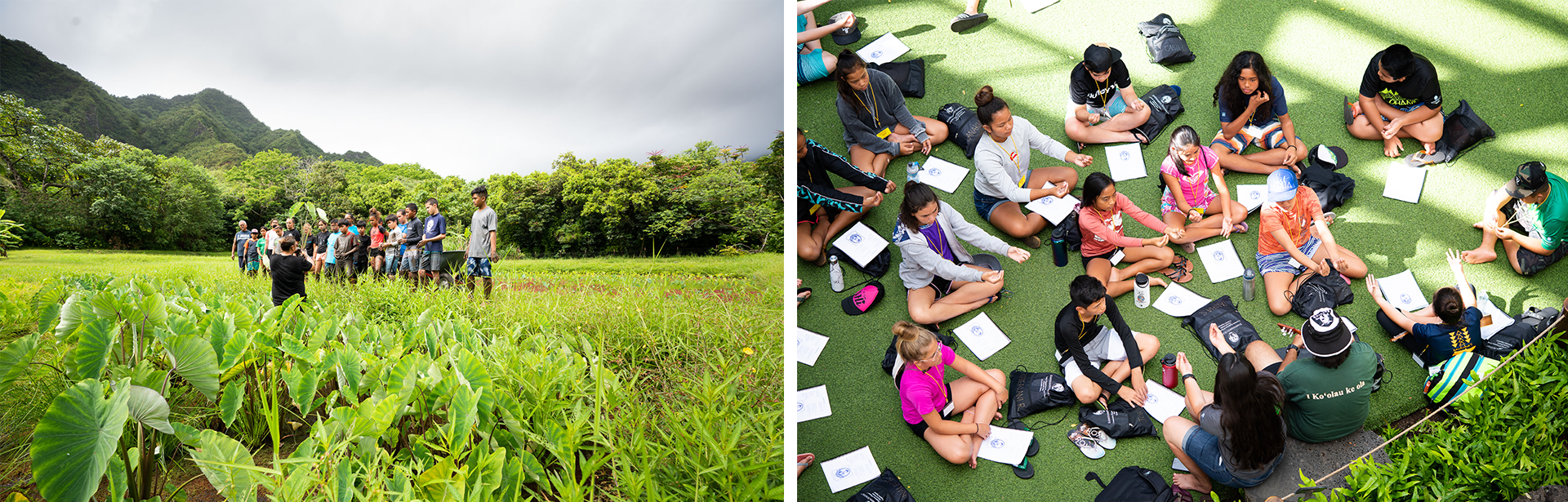 students in a field, and students learning in group