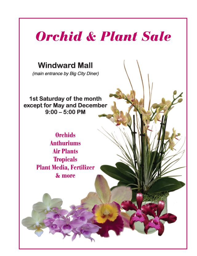 Windward Orchid Plant Sale | Windward Mall